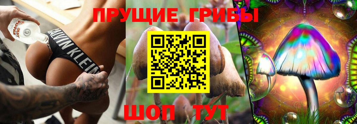 Галлюциногенные грибы Psilocybe Гай