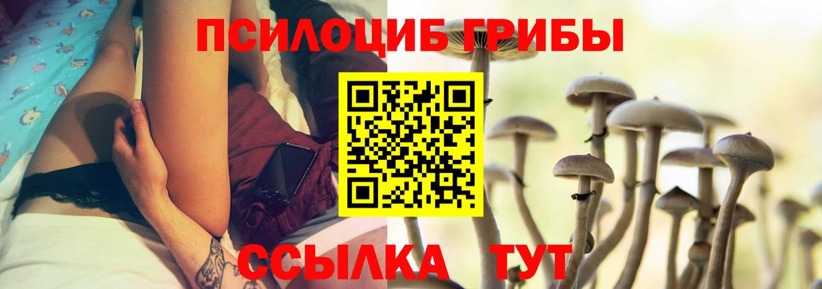 купить   Псилоцибиновые грибы Cubensis  Вход с VPN  Гай 
