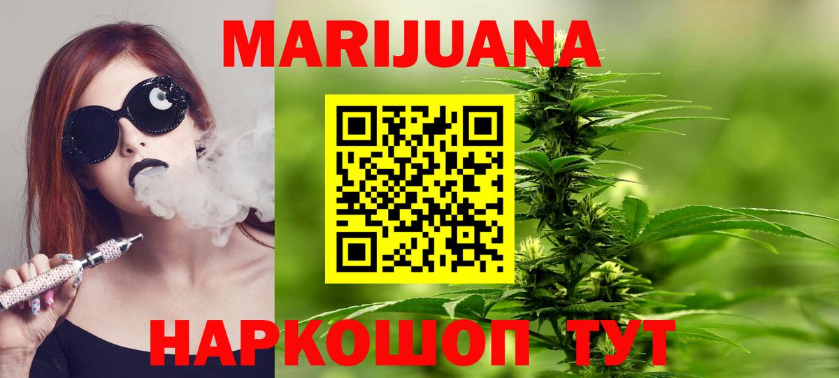 Канабис конопля Гай